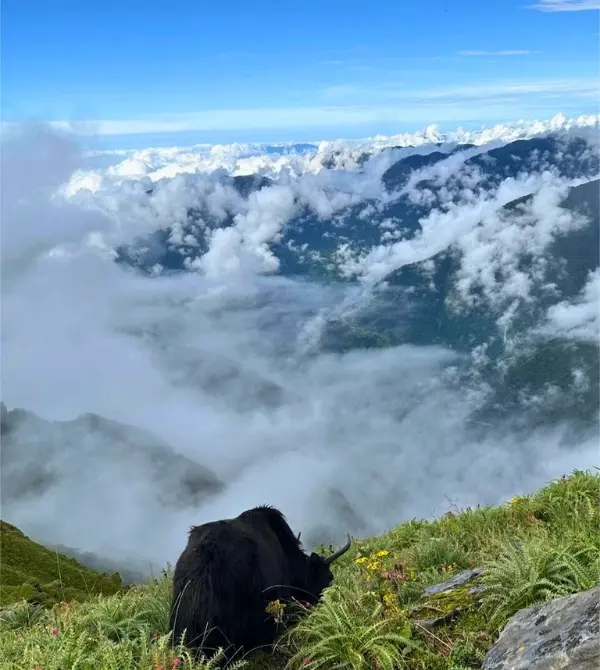 Why the Mardi Himal Trek is Nepal’s Best Kept Secret