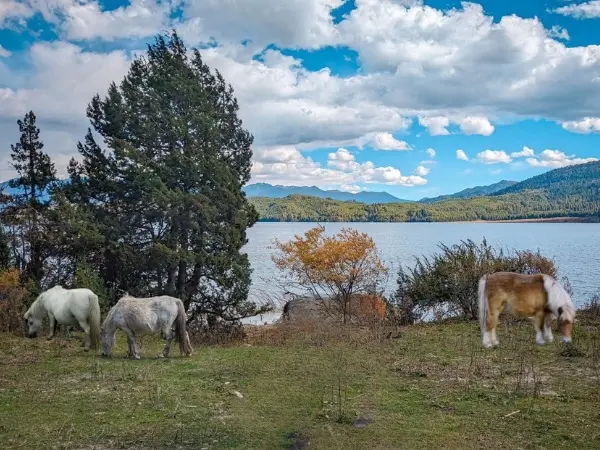 Rara Lake Trek